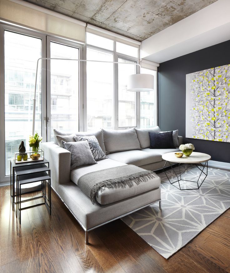 Elegant Contemporary Living Room Design View